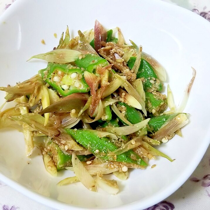 レンジで簡単 オクラとみょうがのごま和え レシピ 作り方 By かっぺ4217 楽天レシピ レンジで簡単 オクラとみょうがのごま和え レシピ 作り方 By かっぺ4217 楽天レシピ